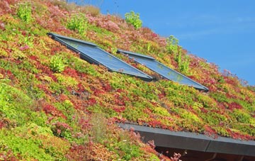 Torksey living roof systems